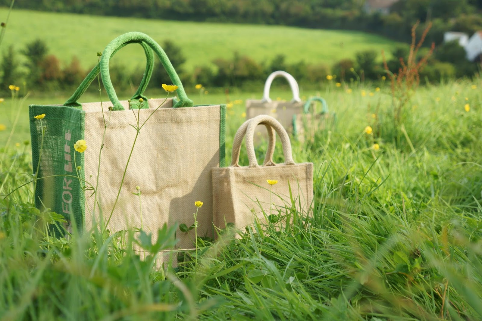 Why It's Important to Purchase Eco-Friendly Products - Latestphonezone