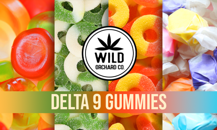The best Delta 9 gummies for sale in 2022