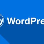 Painter WordPress Themes