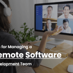 Remote Software Development Team