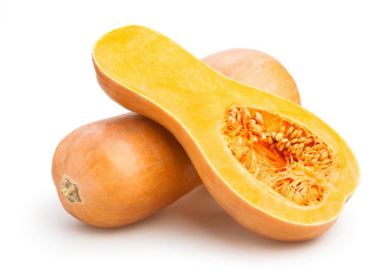 What is Squash? | Top Benefits of Squash