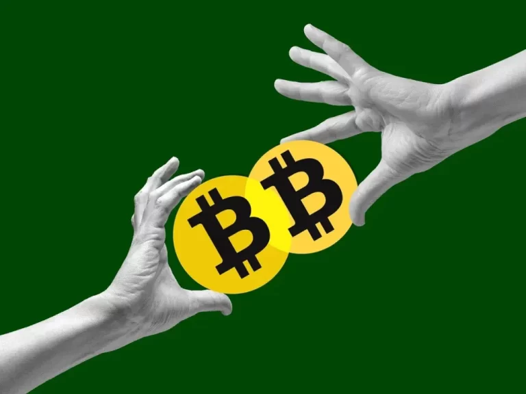 Contribution to Financial Transparency and Accountability Bitcoin’s